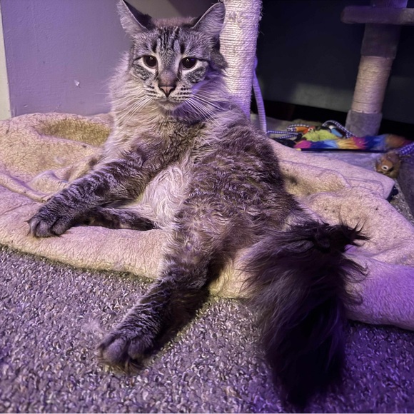 Meet your Posher, Ashley - Picture 2 of 5